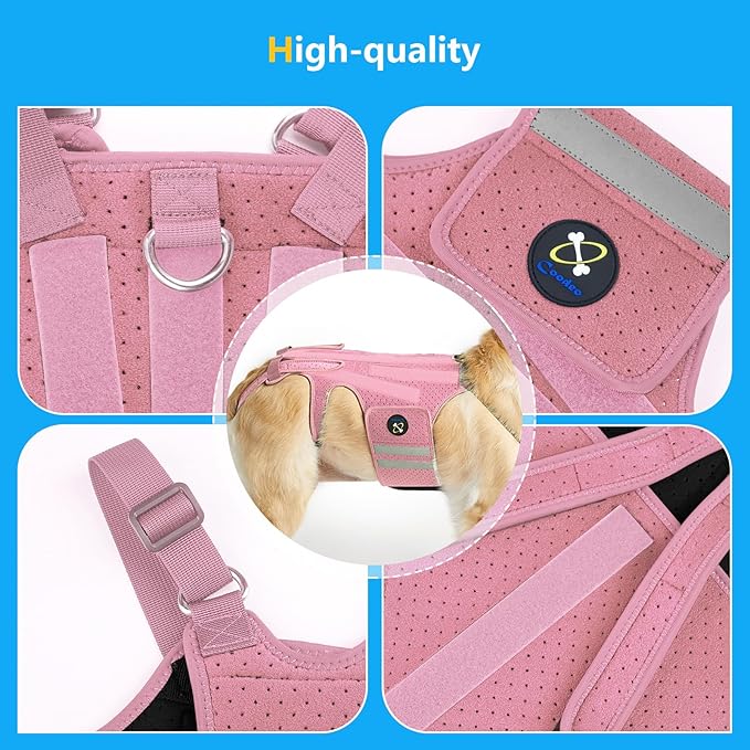Coodeo Dog Back Brace for Dogs Arthritis, Pet Back Bracer for IVDD, Back Protector Helps Pain Relief, Surgical Recovery and Rehabilitation, Dogs Back Disease Prevention. (Pink,XX-Large)