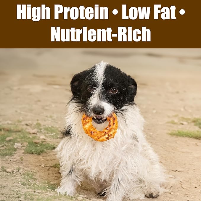 Fieldcrest Farms Nothin’ to Hide Bagel Beef Flavor – Collagen-Based Rawhide Alternative Dog Chews for Small Dogs Up to 25 lbs, Highly Digestible, Promotes Healthy Teeth & Gums, 3-Inch, 2 Pack
