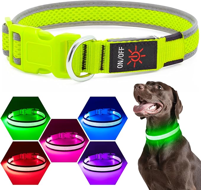 Flashseen LED Dog Collar, Light Up Dog Collar USB Rechargeable, Brightest Dog Lights for Night Walking, Adjustable Dog Collar Light for Dog Safety (Green, Small)