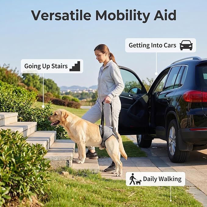 Dog Rear Leg Support Harness – Adjustable Mobility Sling for Senior Disabled Injured Dogs, Hip Joint Lift Harness for Small Medium Large Dogs, Padded Handle, Breathable & Easy to Use