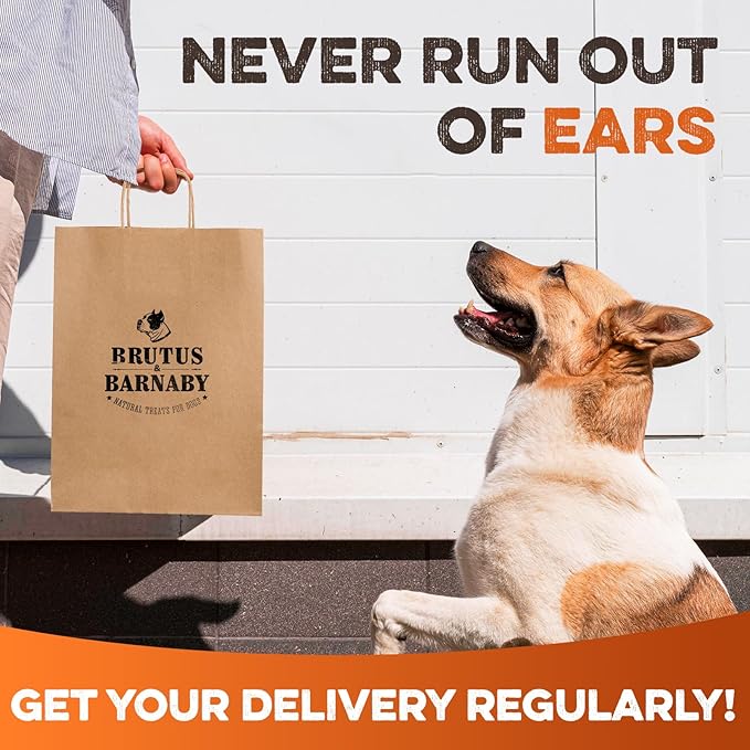 BRUTUS & BARNABY Cow Ears for Dogs – Halves 30 ct, Thick Cut, Grass-Fed Angus Beef, All-Natural No-Rawhide Dog Treat Alternative