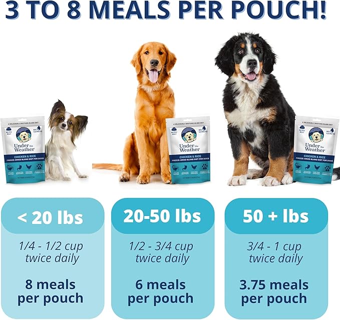 Under the Weather Bland Diet for Dogs | Easy to Digest for Sick Dogs | Always Be Ready | Contains Electrolytes - All Natural Freeze Dried 100% Human Grade Meats | 1 Pack - Chicken, Rice - 6oz