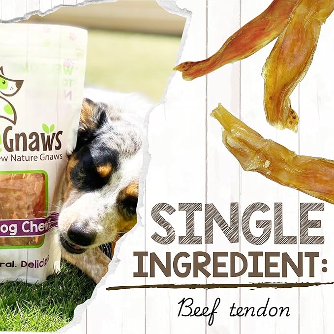 Nature Gnaws Beef Tendons for Dogs 4-5" (12 Count) - Mixed Thickness - Long Lasting for Small and Medium Dogs - Natural Beef Jerky Dog Chew Bones - Rawhide Free