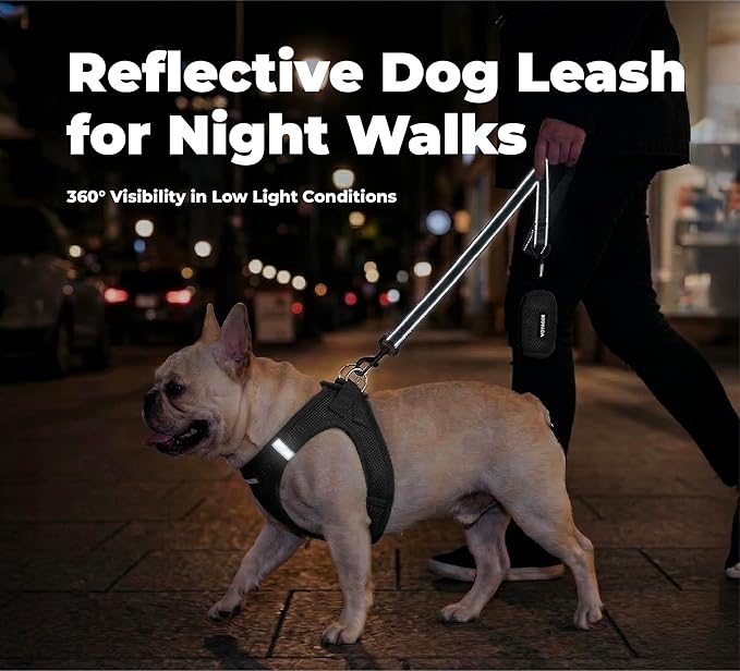 Best Pet Supplies Voyager Reflective Dog Leash or Collar with Neoprene Handle, for Small, Medium, and Large Breed Puppies, Cute and Heavy Duty for Walking, Running and Training - Black (Leash), M