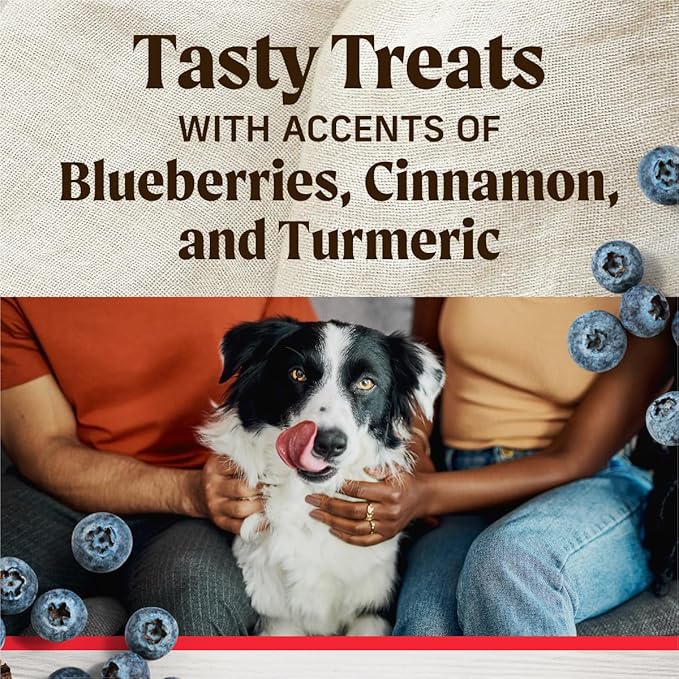 Healthy Bites Grain Free Dog Treats, Soft Treats with Bone Broth for Dogs, Beef and Bone Broth Recipe - 6 oz. Pouch