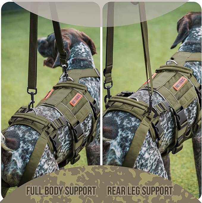 OneTigris Breathable Dog Lift Harness for Medium Sized Dogs, Dog Sing for Large Dogs Hind Leg Support, Hip Support Brace Front Leg Vrace (Green, Large)