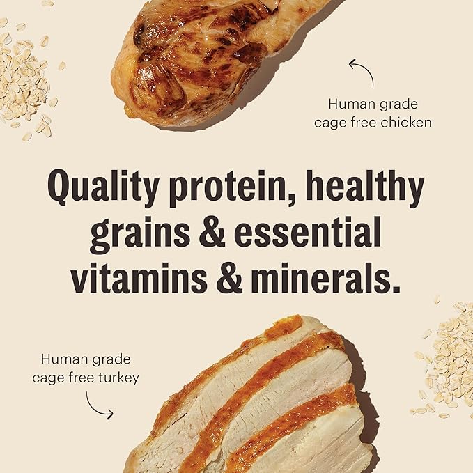 The Honest Kitchen Human Grade Essential Clusters Dog Whole Grain Turkey & Chicken 5 lb Bag