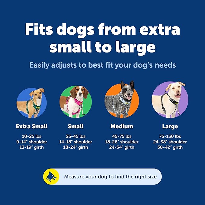PetSafe Easy Walk Comfort No-Pull Dog Harness Full-Body Padding - Better Walks on the First Use - 5 Points of Adjustment X-Small, Blue