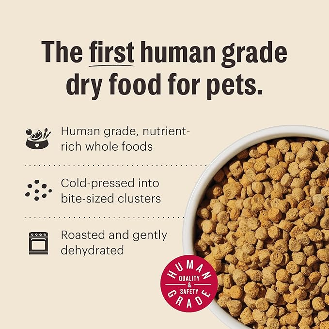 The Honest Kitchen Human Grade Whole Food Clusters Grain Free Turkey & Chicken Dry Cat Food, 4 lb Bag