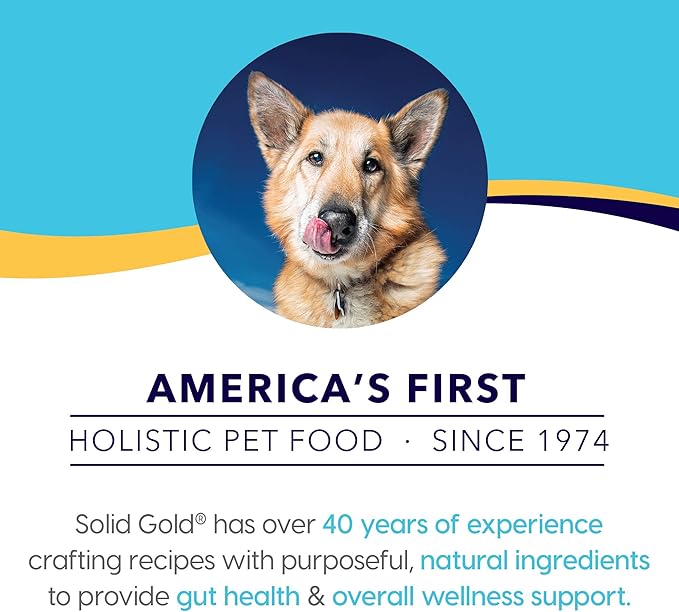 Solid Gold Chicken Bone Broth for Dogs - Grain Free Dog Food Topper Rich in Collagen and Superfoods - Nutrient Dense Dog Gravy Topper for Dry Food - Promotes Gut Health and Hydration - Single