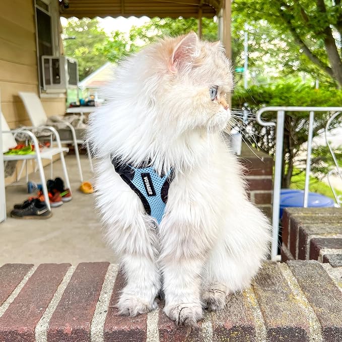 Best Pet Supplies Voyager Step-in Lock Pet Harness w Reflective Pet Leash Combo Set with Neoprene Handle 5ft - Supports Small, Medium and Large Breed Puppies/Cats - Baby Blue/Black Trim Set, L