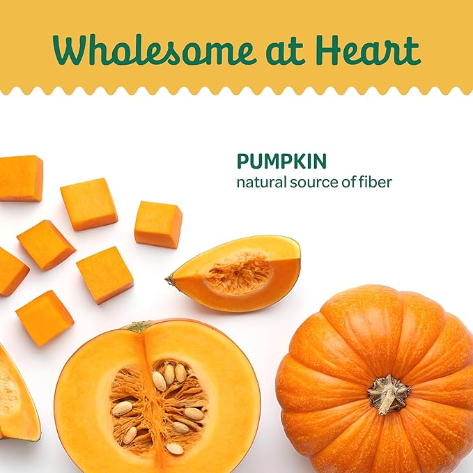 Wholesome Pride Pumpkin Slices Dog Treats – Limited Ingredient, Dehydrated, All Natural, 10 oz