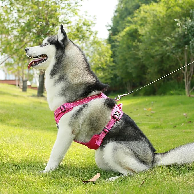 Voyager Dog Harness Dual Leash Attachment No-Pull Control Adjustable Soft but Strong Pet Harness for Medium and Large Dogs with 3M Reflective Technology, Fuchsia Nylon, XL (Chest: 28-37")