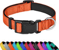 Reflective Dog Collar, Adjustable Soft Neoprene Padded Nylon Pet Collars with Buckle for Puppy and Small Dogs, Cats, Orange,XS