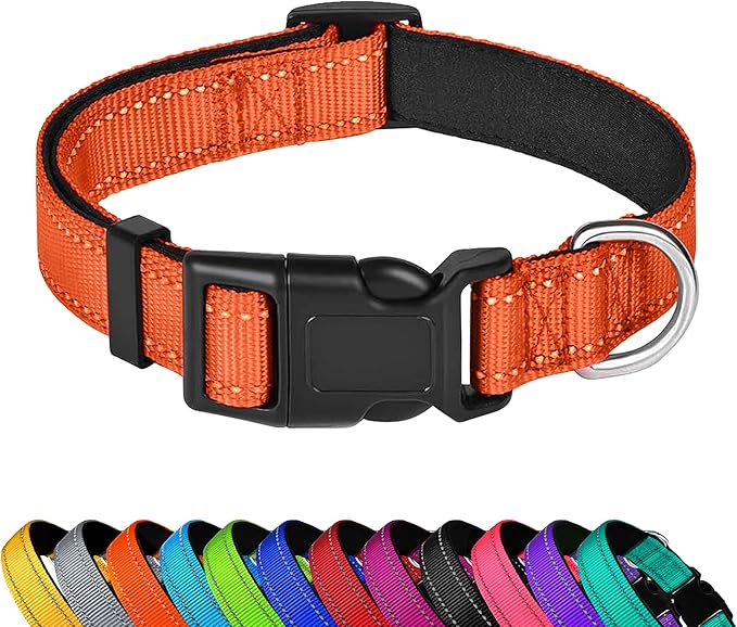 Reflective Dog Collar, Adjustable Soft Neoprene Padded Nylon Pet Collars with Buckle for Large Dogs, Orange,L