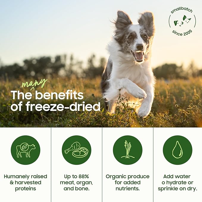 smallbatch Pets Freeze-Dried Raw Dog Food – Lamb Recipe – 7oz Small Bites – High Protein, Grain Free – Complete Meal or Topper – Made in USA with Organic Superfoods 7 Oz, Turkey