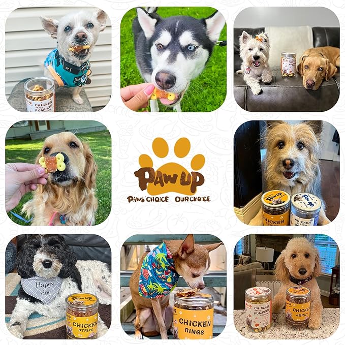 PAWUP Dog Treats Chicken Wrapped Pumpkin Biscuits, Rawhide Free w/Taurine Low Fat Chewy Training Treats,12.5 oz