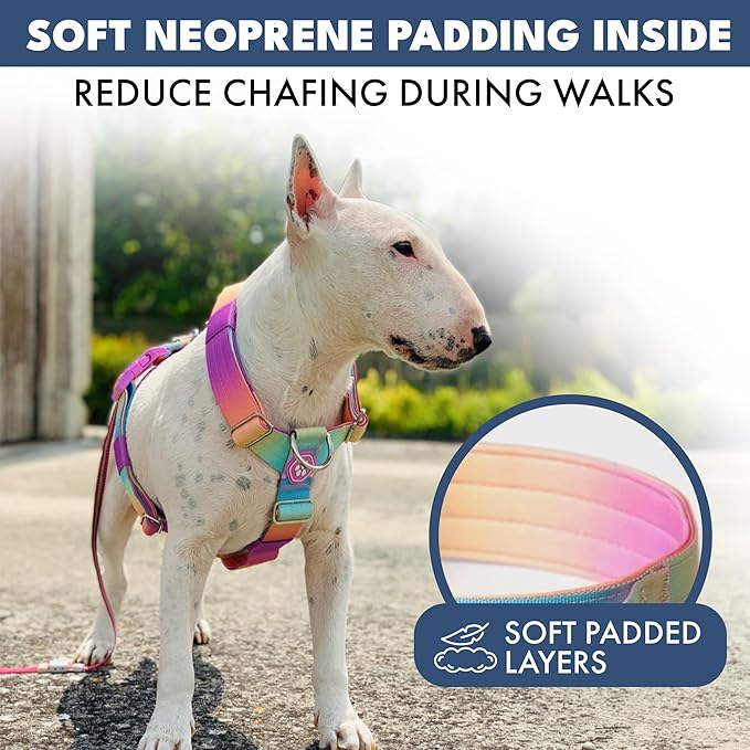 Spark Paws No Pull Dog Harness with Handle for Large Dogs, Heavy Duty Dog Harness for Big Strong Breeds, Adjustable, Y Shaped Padded Halter Design with Front Clip - Pastel Icing - S