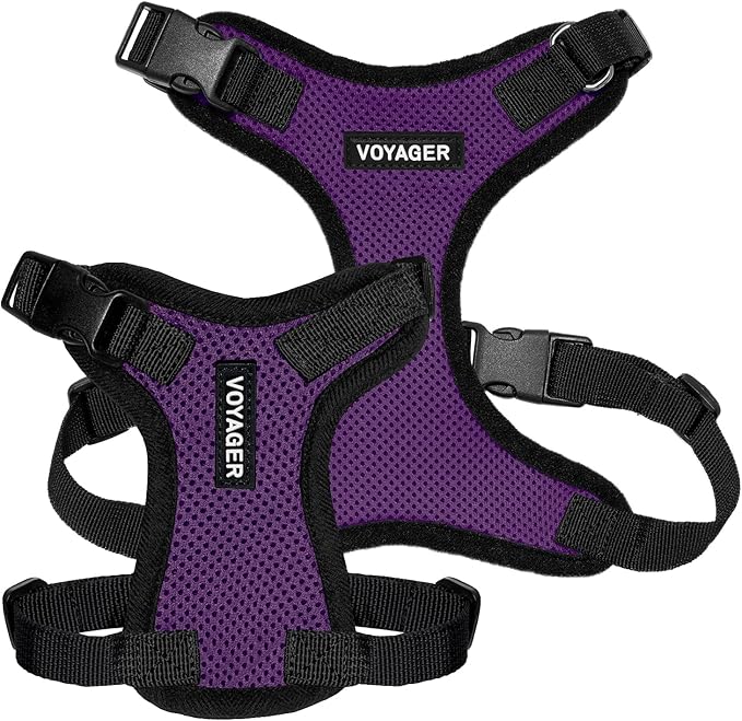 Voyager Step-in Pet Harness - All Weather Mesh, Adjustable Step in Harness for Cats and Dogs by Best Pet Supplies - Purple/Black Trim, M