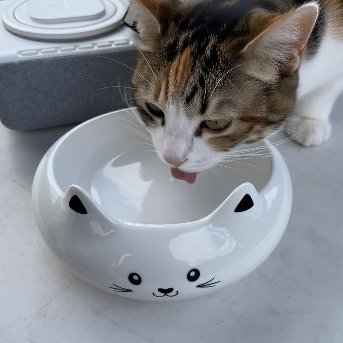 Cat Bowls, Cat Food Bowl with Ears, Ceramic Cute Kitten Water Bowl 7.1oz, Slanted Kitten Feeding Dish 6.5 inch, Whisker Fatigue Friendly, Adorable and Multi-Use Gift for Girls
