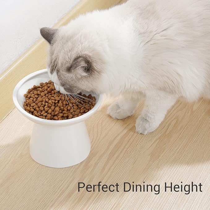 CEEFU Extra Wide Elevated Ceramic Cat Bowl - 6.2" Shallow Dish for Whisker Fatigue Relief, 5" Height for Easy Feeding, Lead & Cadmium Free, Durable Raised Cat Food Bowls, White