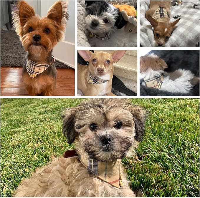 EXPAWLORER Dog Collar and Bandana Set - Classic Plaid Dog Bow Tie and Bandana Collar with PU Leather, Adjustable Collars for Small Medium Large Dogs Cats, Holiday Ideal Gift, Beige M
