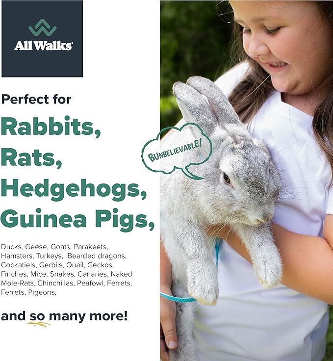 All Walks 40 Liters(4 x 10L Bags) Premium Natural Hemp Bedding, Odor Control, Low Dust, Highly Absorbent, for Rabbits, Hamsters, & Small Animals, Biodegradable, Made in USA