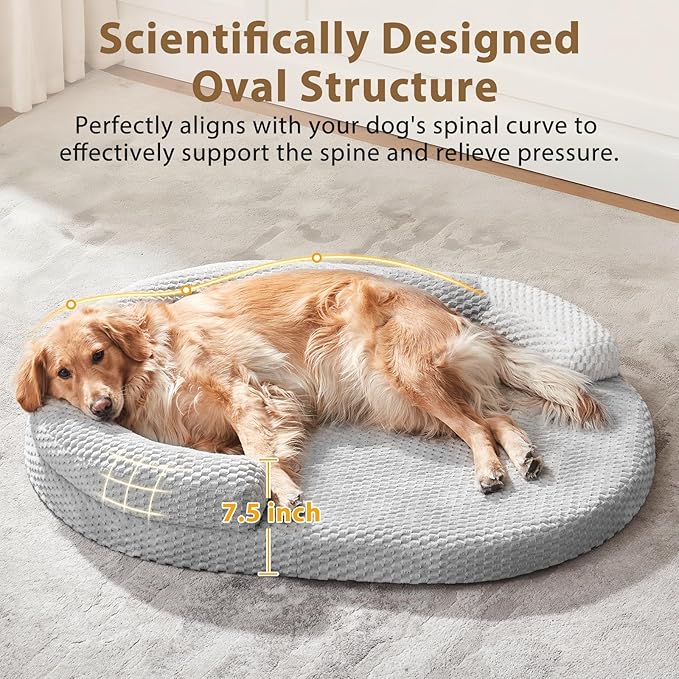 JOEJOY Orthopedic Dog Bed Medium Size Dogs, Waterproof Washable Oval Dog Beds with Removable Cover, Egg-Crate Memory Foam Pet Bed with Bolster Sides & Non-Skid Bottom, Light Grey, 28''x20''