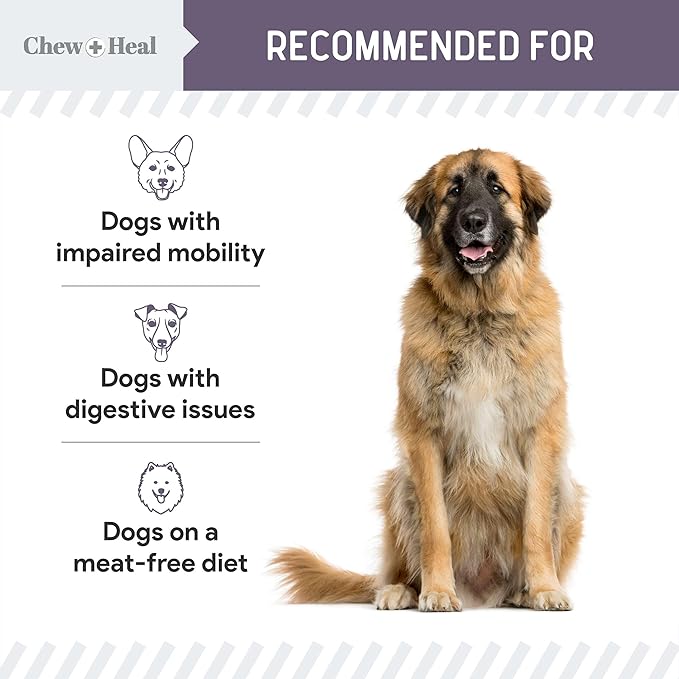 Chew + Heal Labs Seniors Soft Jerky Salmon Dog Treats - 12 oz of Omega Jerky - Dog Joint Supplement with Wild Alaskan Salmon and Turmeric - Made in the USA
