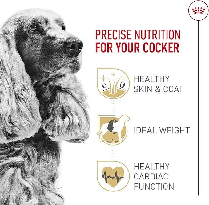 Royal Canin Breed Health Nutrition Cocker Spaniel Adult Dry Dog Food, 25 lb Bag