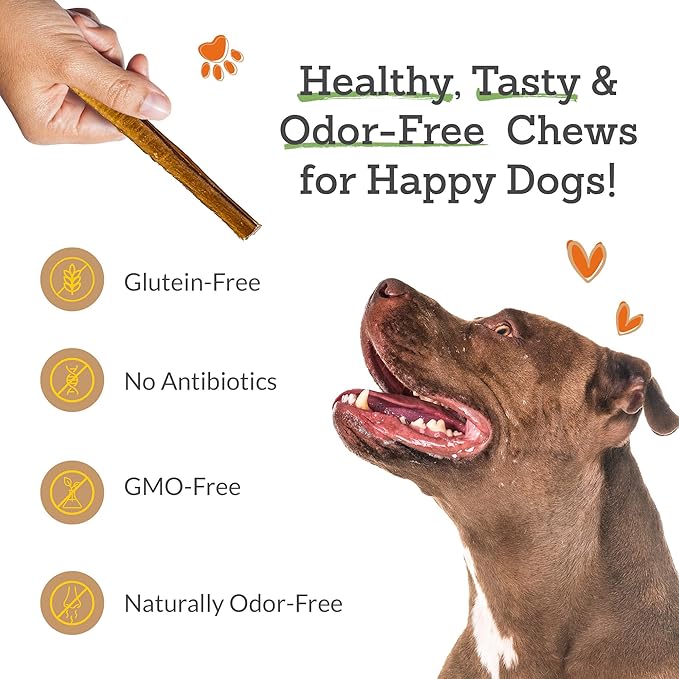 Advance Pet Products Premium 6 Inch Bully Sticks for Dogs (Pack of 100) – 100% Beef Dog Chews, Odor-Free, Long Lasting Treat for Aggressive Chewers, High Protein, Gluten & Rawhide Free, Easy to Digest