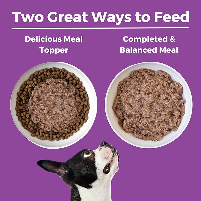 KOHA Limited Ingredient Diet Kangaroo Entrée for Dogs - Grain Free Wet Dog Food with No Fillers - Sensitive Stomach Kangaroo Dog Food - 13 oz Pack of 13