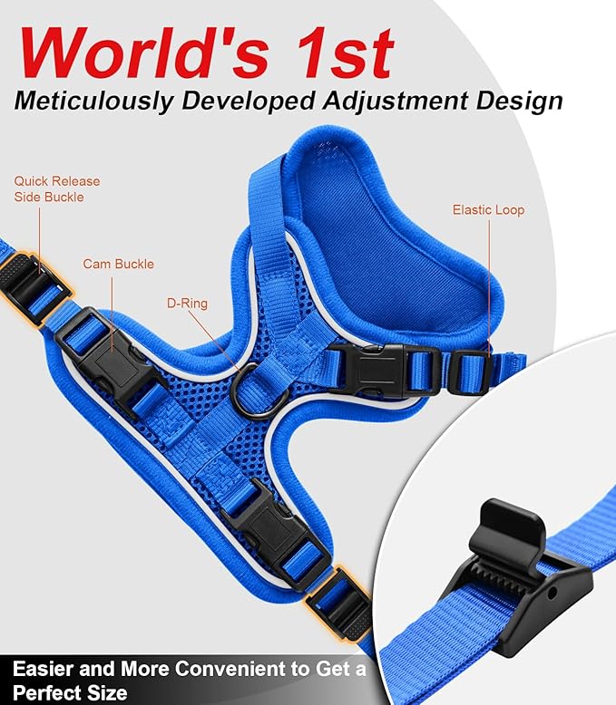 Cat Harness and Leash for Walking Escape Proof Soft Adjustable Cat Leash Breathable Comfortable Vest Easy to Wear Kitten Harness for Outdoor Travel (Blue, XS (4-6lb))
