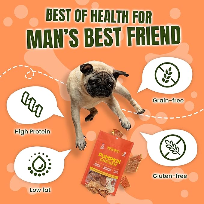 Gourmet Chicken Jerky Dog Treats Made in The USA. Cage-Free, No additives (Pumpkin Chicken 5 0z)