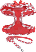 EXPAWLORER Cute Dog Harness and Leash Set - Red Girl Dog Harness Checkered Step-in Design, Easy Adjustable No-Choke Lightweight Breathable Vest for Small Medium Dogs Outdoor Walking, Medium