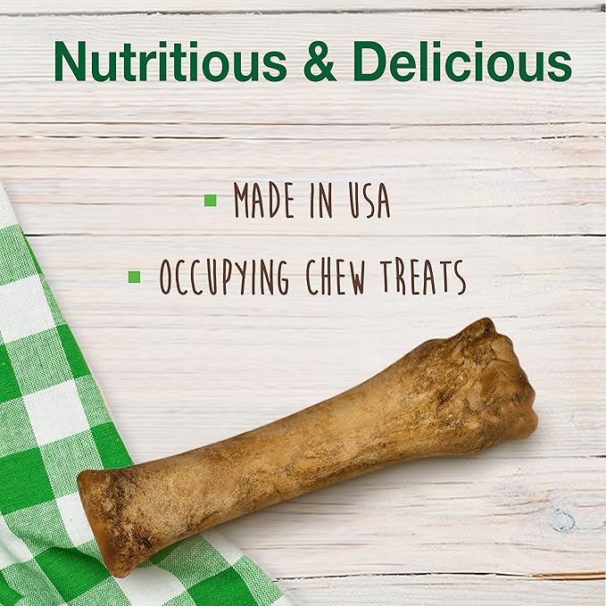 Nylabone Healthy Edibles Natural Puppy Chews Long Lasting Lamb & Apple Flavor Treats for Puppies, X-Large/Souper (1 Count)