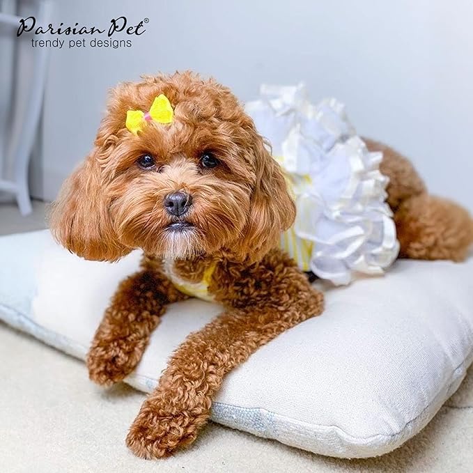 Parisian Pet Ballerina Dog Dress - Summer Clothes for Small Dogs - Comfortable Striped Yellow Pet Dress - Dog Wedding Outfit - Lightweight Puppy Clothes Girl - Designer Dresses for Dogs