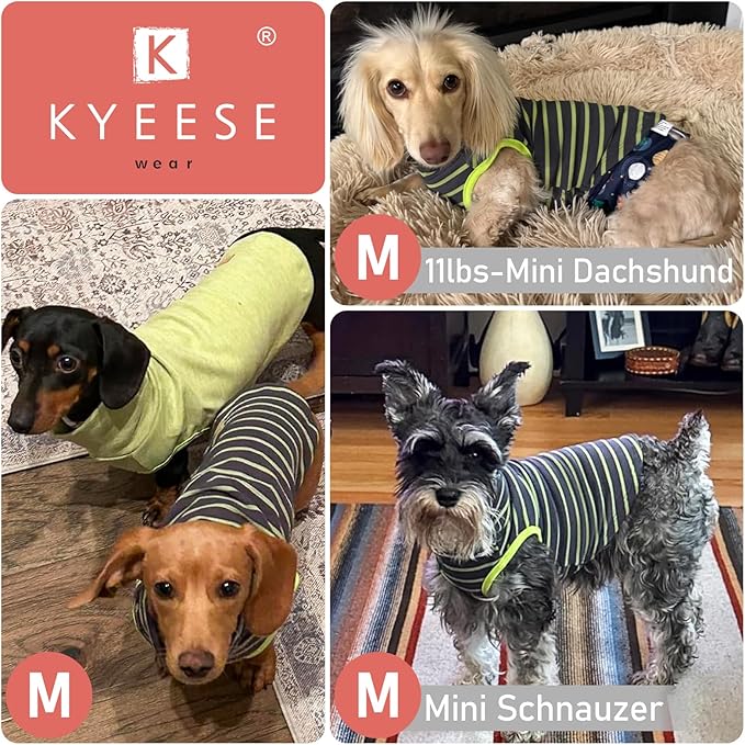 KYEESE 2Pack Cat Sweater Warm Pet Coats Soft Dog Puppy Sweaters for Small Dogs Turtleneck Small Pets Sweaters Stretchy Dogs Clothes Pullover Pet Sweatshirt