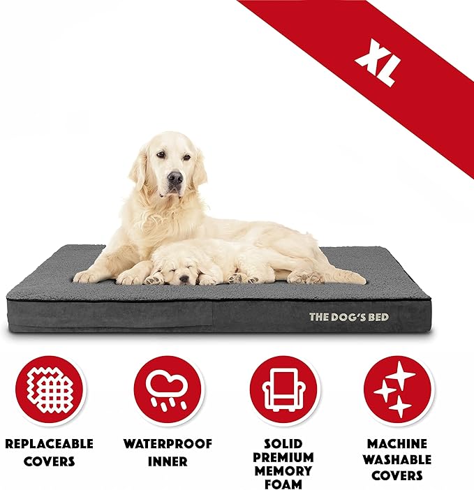 The Dog’s Bed Orthopedic Memory Foam Dog Bed for XL Dogs, Waterproof Washable Cover, Anti-Slip Base, Calming Surface – CertiPUR-Certified Foam, Grey Plush, 4 Inch Thick