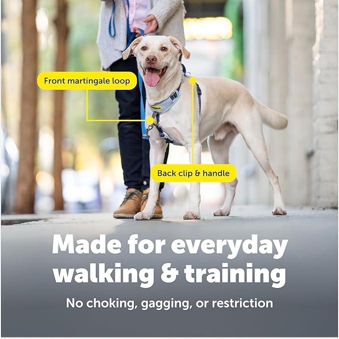 PetSafe Easy Walk Comfort No-Pull Dog Harness Full-Body Padding - Better Walks on the First Use - 5 Points of Adjustment X-Small, Black