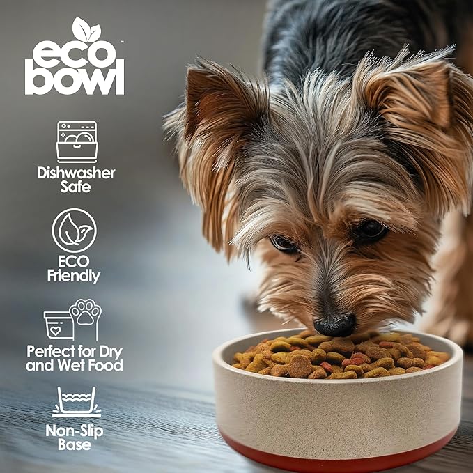Palz&Co EcoBowl with Lid for Dogs & Cats, 80 oz Cinnamon - Natural Bamboo Pet Bowl with Non-Slip Base, Pet Food and Water Dish, Dishwasher Safe