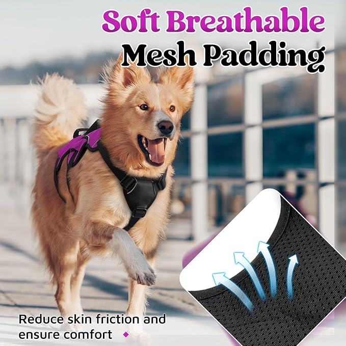 rabbitgoo Escape Proof Dog Harness, Soft Padded Full Body Pet Harness, Reflective Adjustable No Pull Vest with Lift Handle and Leash Clip for Large Dogs Walking Hiking Training, XL, Purple