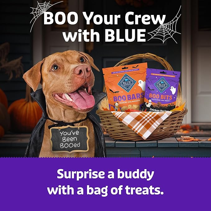Blue Buffalo Boo Bits Soft & Chewy Halloween Dog Treats, Tasty Chicken Recipe, 4.5-oz. Bag