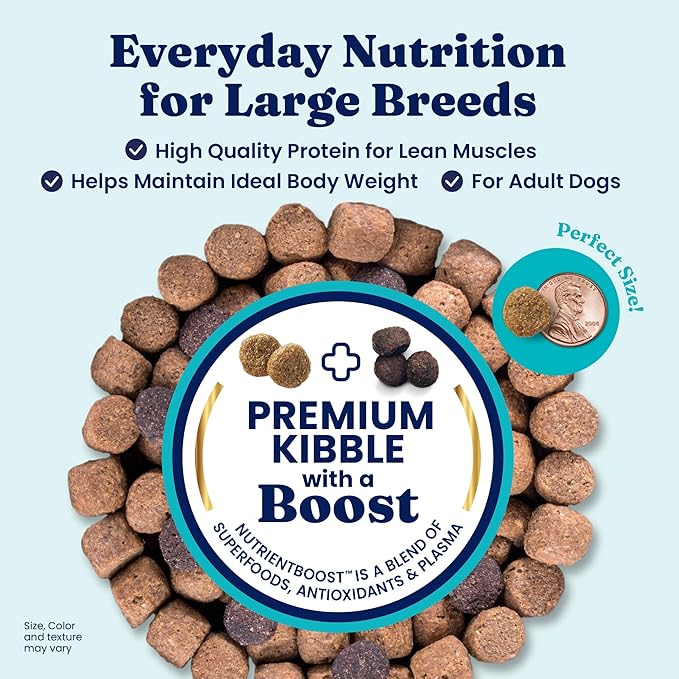 Solid Gold Bison Dry Dog Food for Large Dogs – High Protein, Whole Grain Kibble with Real Bison, Brown Rice & Omega 3 – Large Kibble w/Probiotics for Gut Health - Adult Dog Food - Nutrientboost™– 11LB