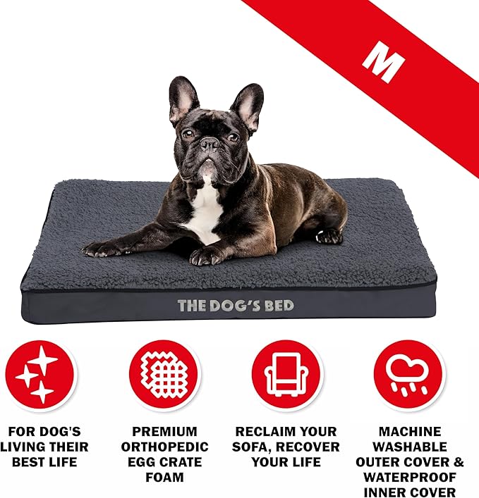 The Dog’s Bed Orthopedic Standard Foam Dog Bed Mattress, Plush Fabric, Grey, Medium