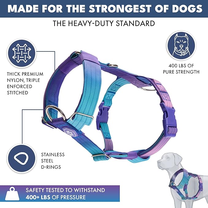 Spark Paws No Pull Dog Harness for Large Dogs, Heavy Duty Dog Harness for Big Strong Breeds, Adjustable, Y Shaped Padded Halter Design with Front Clip - 90s Retro – L