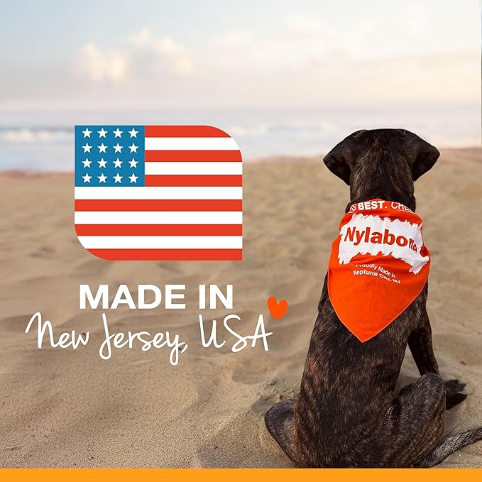 Nylabone Power Chew Classic Bone Chew Toy for Dogs, Durable Dog Toys for Aggressive Chewers, Chicken Flavor, Large/Giant - Up to 50 lbs. (1 Count)