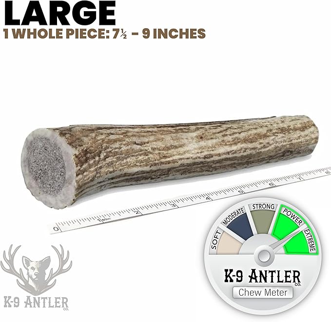Elk Antlers for Dogs – Large Whole (7.5-9 Inch), Durable Chew for Aggressive Chewers, USA Sourced, Naturally Shed & Ethically Harvested