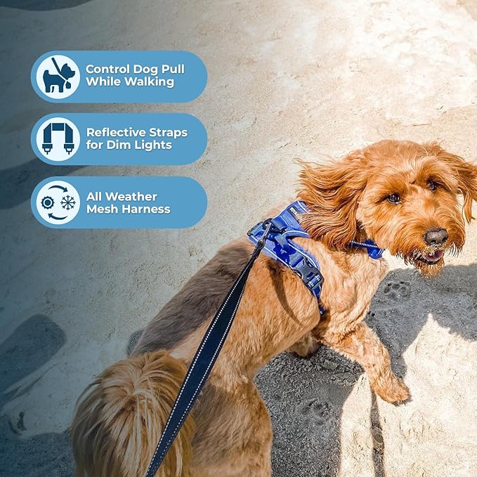 Voyager Dog Harness Dual Leash Attachment No-Pull Control Adjustable Soft but Strong Pet Harness for Medium and Large Dogs with 3M Reflective Technology, Leash Set Royal Nylon, L (Chest: 25-30")
