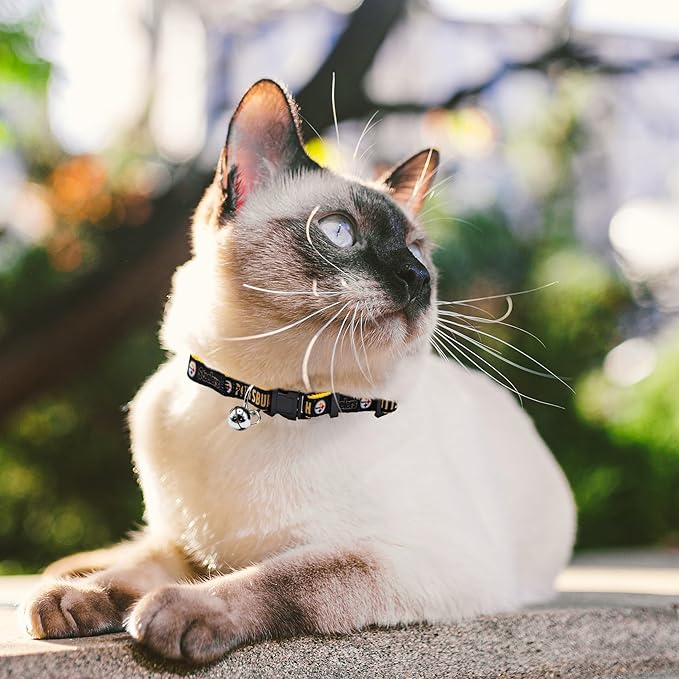 NFL CAT Collar Pittsburgh Steelers Satin Cat Collar Football Team Collar for Dogs & Cats. A Shiny & Colorful Cat Collar with Ringing Bell Pendant